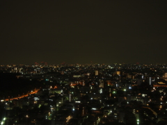 新宿夜景（E-PL1s）