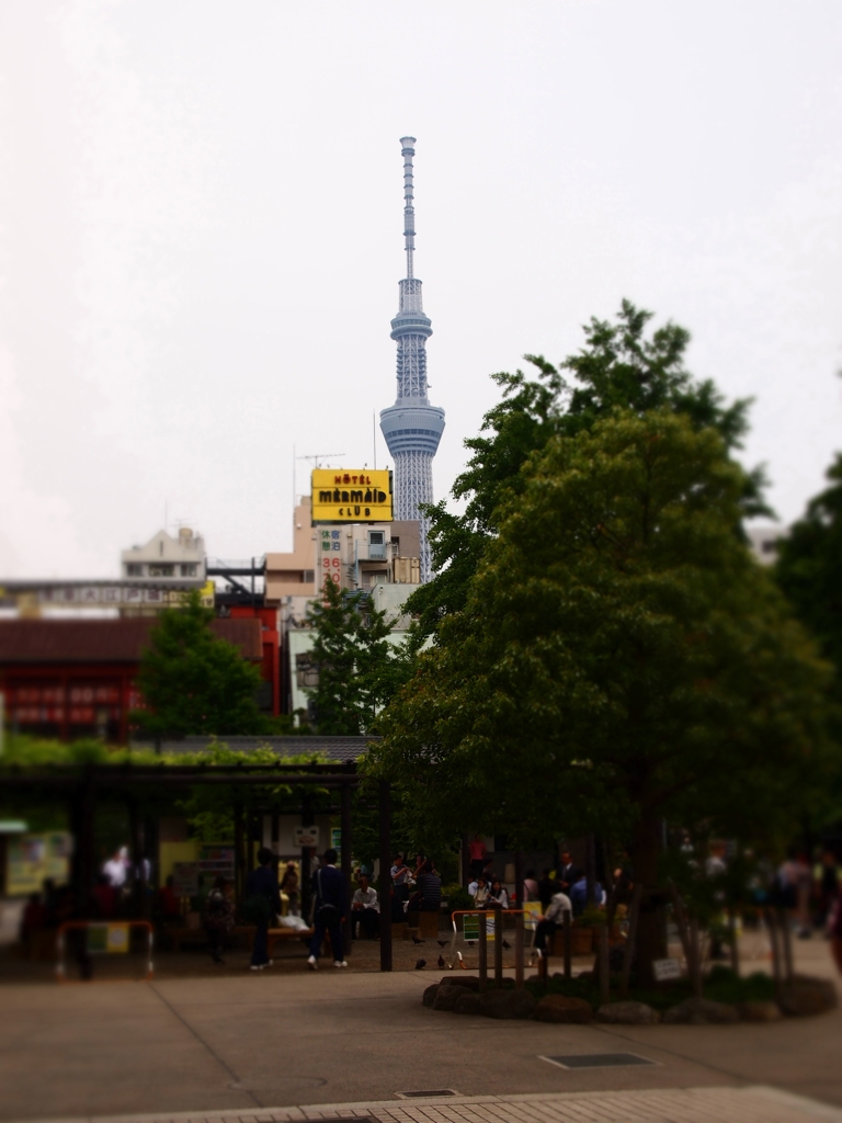 スカイツリー～～(E-PL1s)