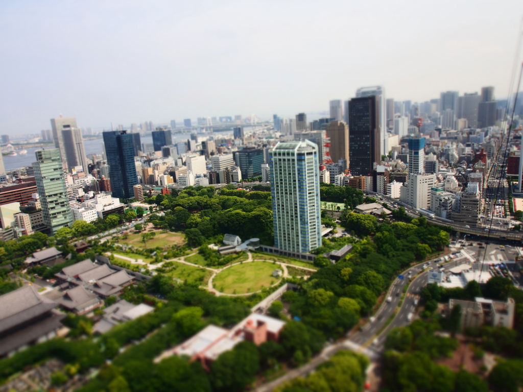 東京タワーから　
