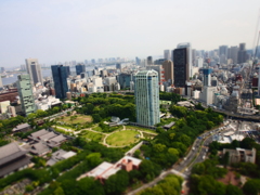 東京タワーから　