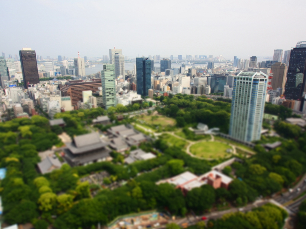 東京タワーから　