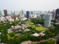 東京タワーから　