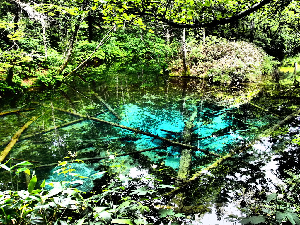 北海道清里町　神の子池