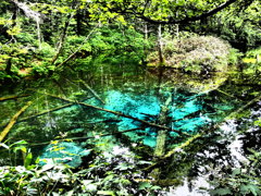 北海道清里町　神の子池