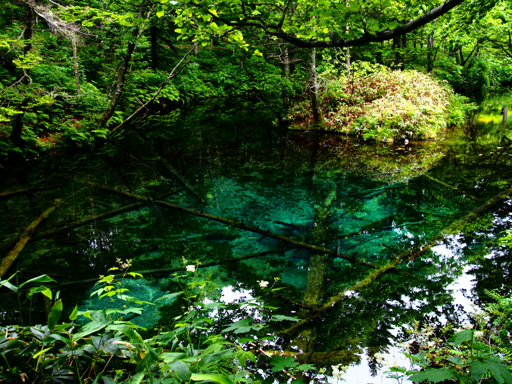 北海道清里町　神の子池