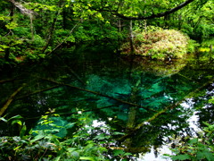 北海道清里町　神の子池