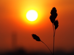 釧路　夕焼け　2012/06/15