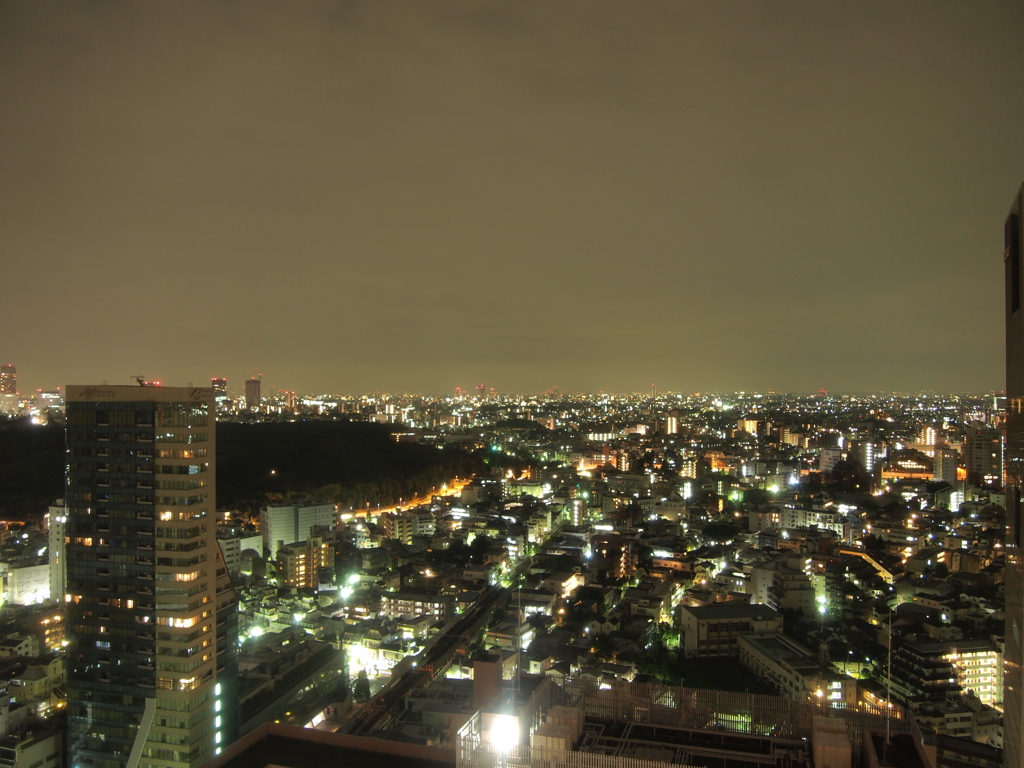 新宿夜景（E-PL1s）