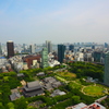 東京タワーから　