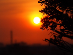 釧路　夕焼け　2012/06/15
