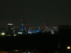 ホテルから新宿夜景