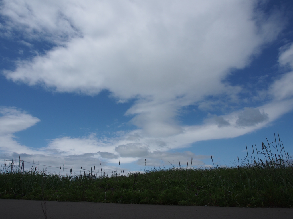久しぶりの青空