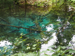 北海道清里町　神の子池