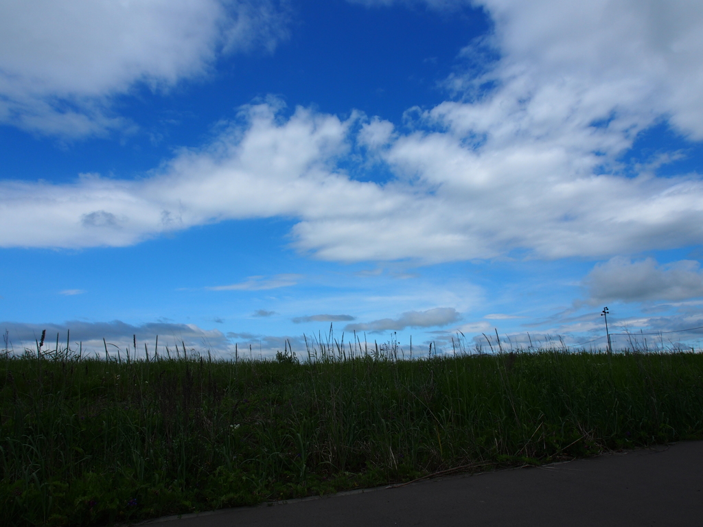 久しぶりの青空
