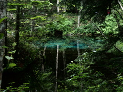 北海道清里町　神の子池