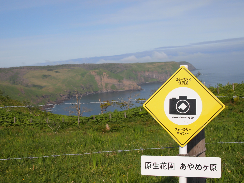 北海道厚岸町　あやめヶ原