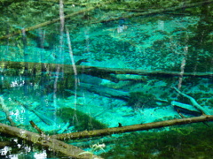 北海道清里町　神の子池