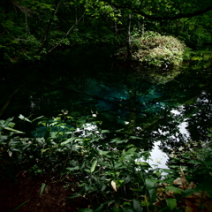 北海道清里町　神の子池