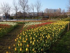 釧路市鶴ケ岱公園②