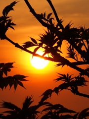 釧路　夕焼け　2012/06/15