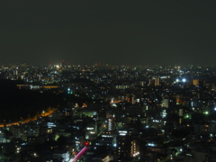 ホテルから新宿夜景