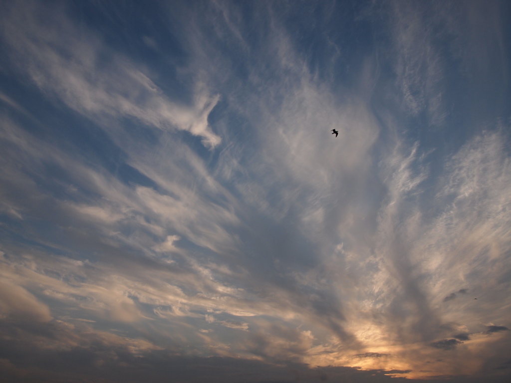 釧路～白糠　夕焼け　2012-07-22