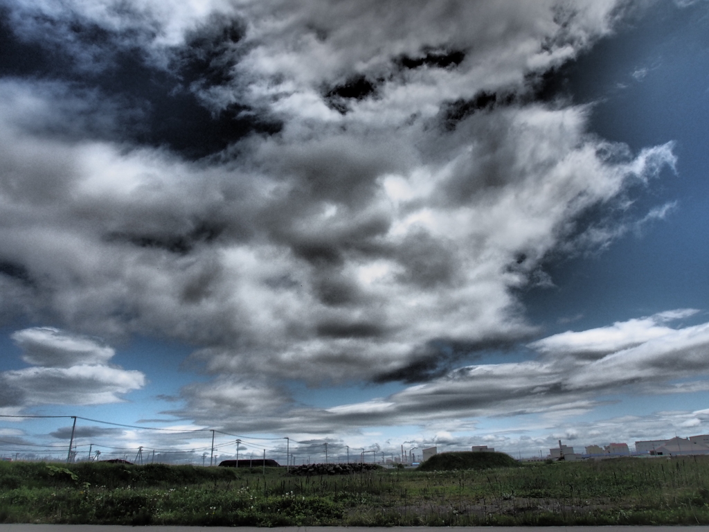 久しぶりの青空
