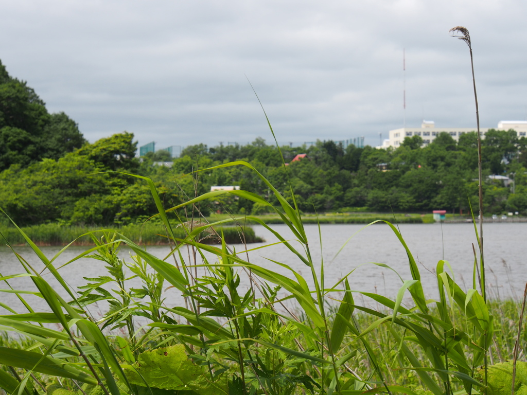 普通の光景ｗ