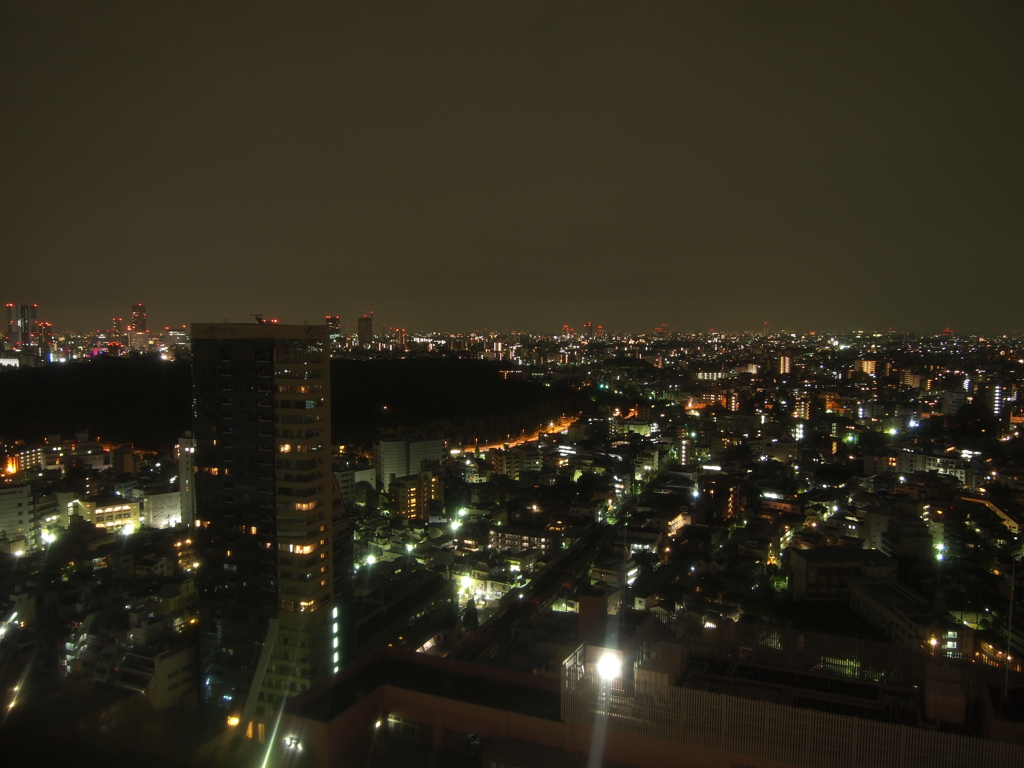 新宿夜景（E-PL1s）