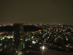 新宿夜景（E-PL1s）