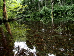 北海道清里町　神の子池