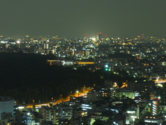 ホテルから新宿夜景