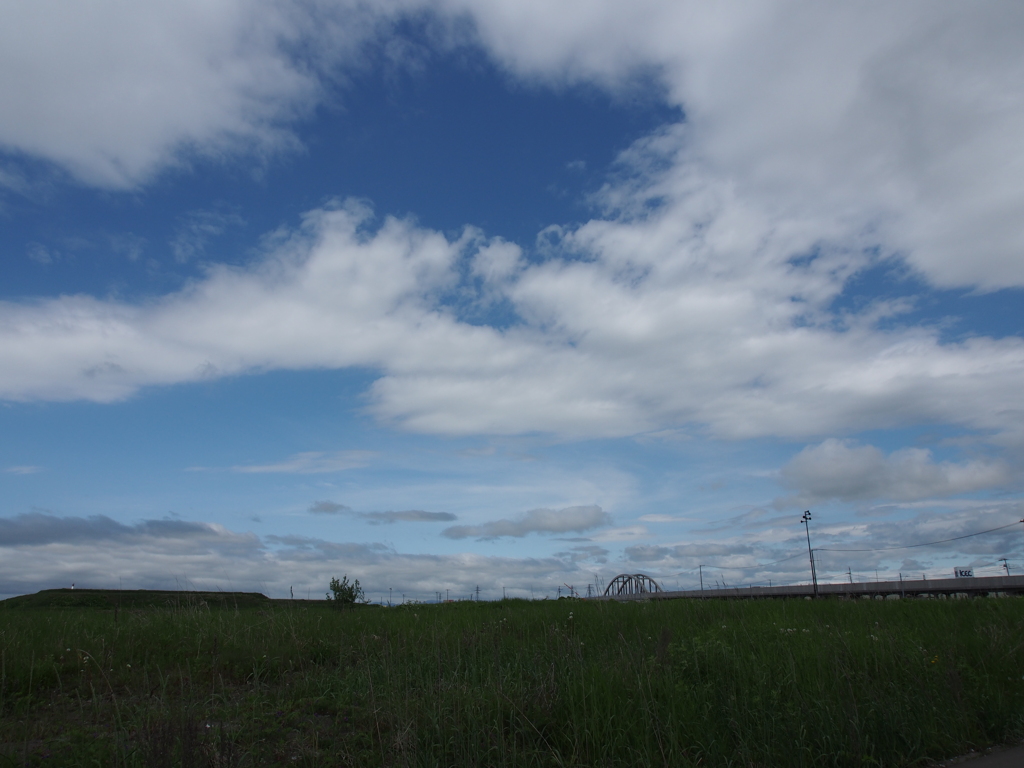 久しぶりの青空