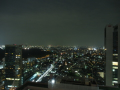 ホテルから新宿夜景