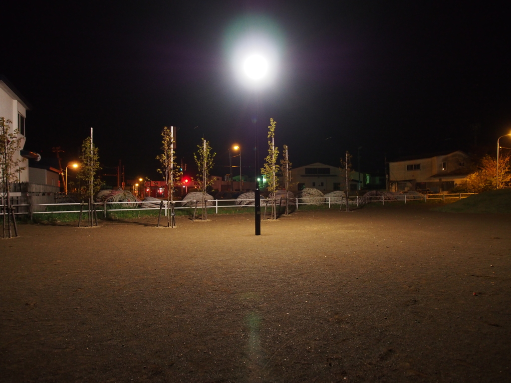 友達のうちの近くの公園で手持ち夜景練習