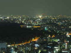 ホテルから新宿夜景