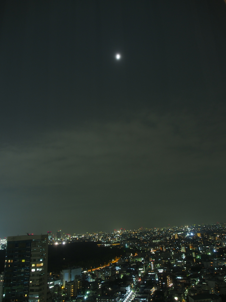 ホテルから新宿夜景