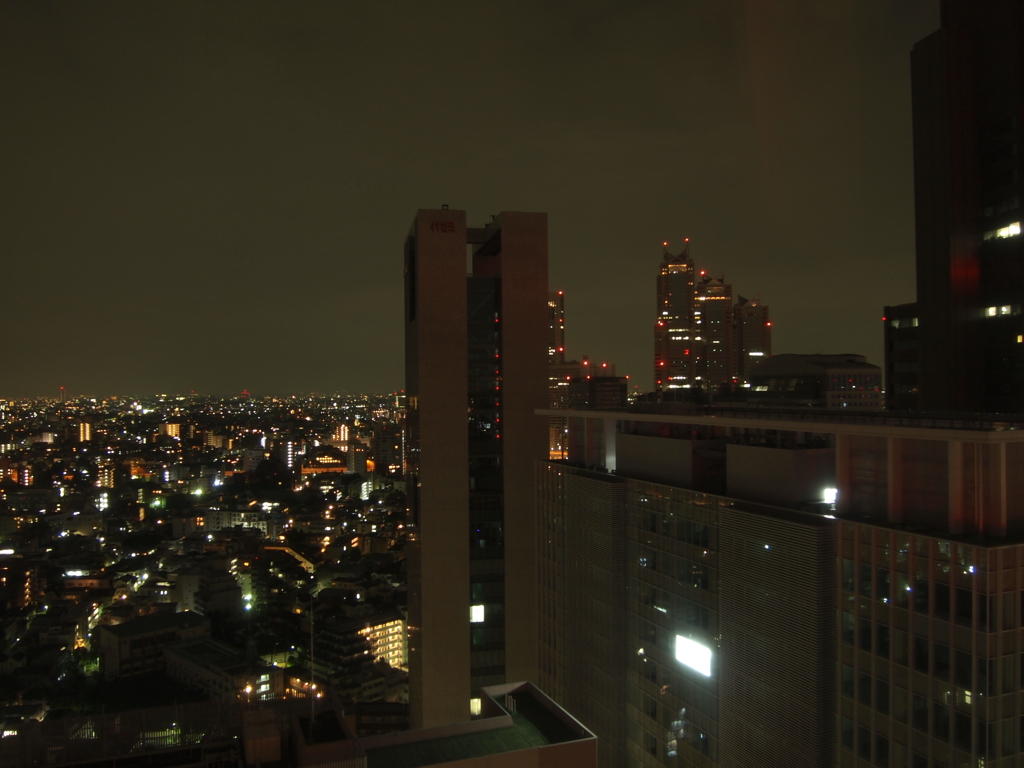 新宿夜景（E-PL1s）
