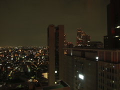 新宿夜景（E-PL1s）