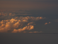 JAL