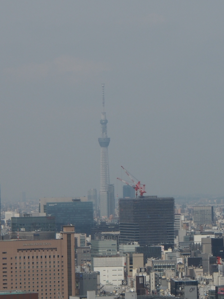 東京タワーから　