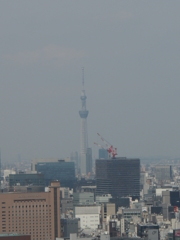 東京タワーから　