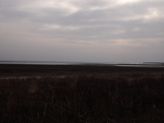 野付半島