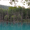 美瑛町　青い池　E-PM1