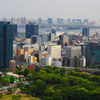東京タワーから　