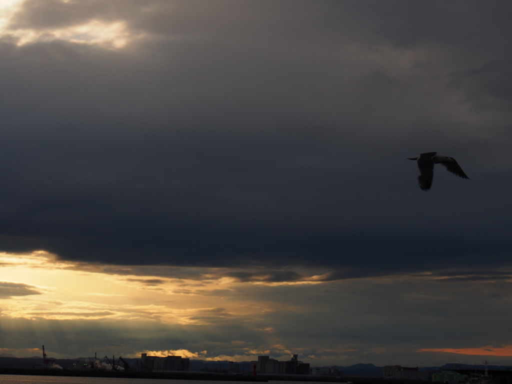 釧路港　夕焼け　2012/05/26