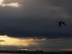 釧路港　夕焼け　2012/05/26