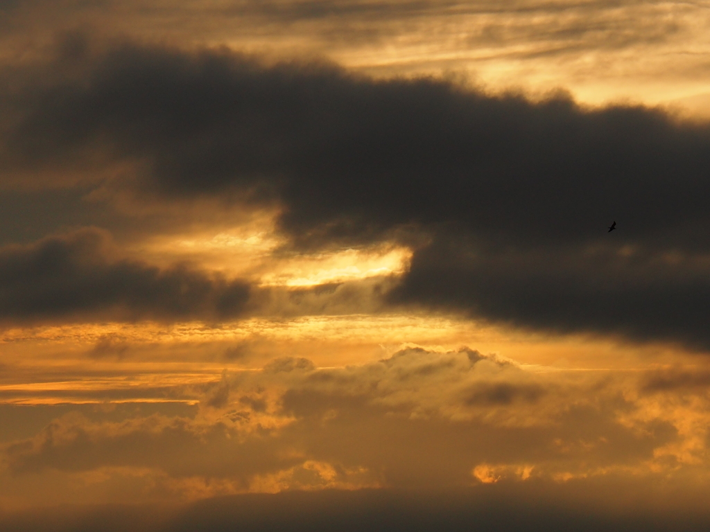 釧路港　夕日　2012-08-16