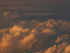 JAL