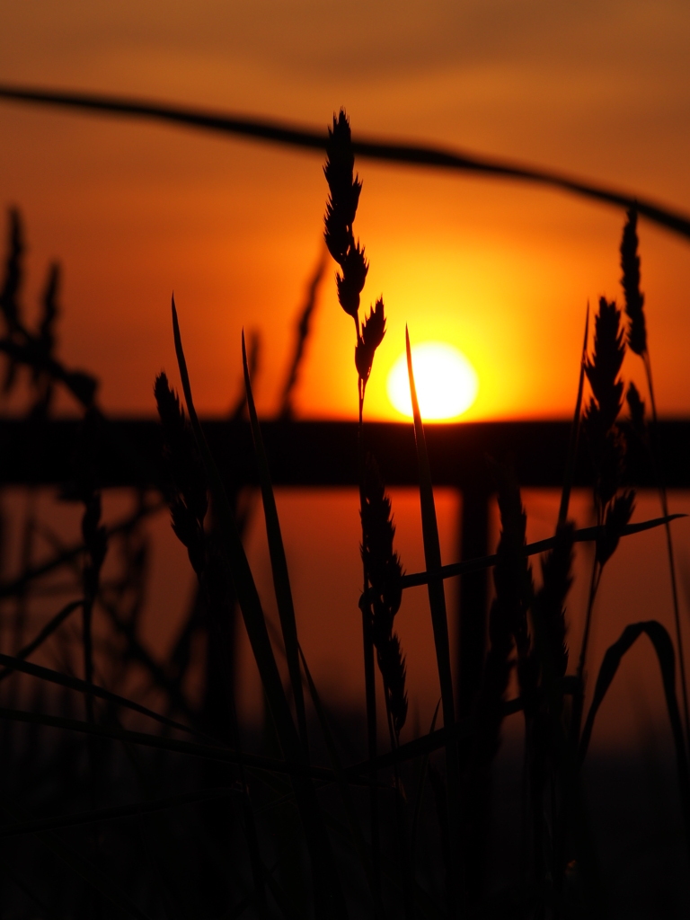 釧路　夕焼け　2012/06/15